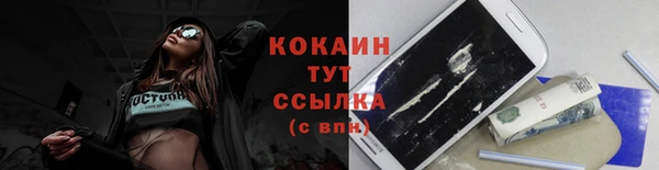 крисы Строитель