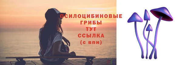 крисы Строитель
