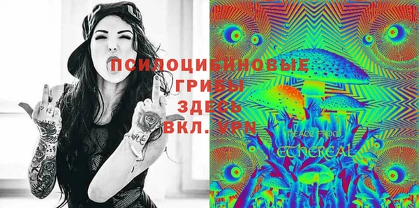 apvp Ступино