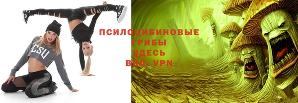 крисы Строитель